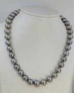 Halsketting ALGT Gecertificeerde Metallic Tahiti Parels -, Handtassen en Accessoires, Kettingen, Nieuw