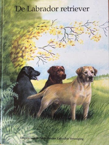 De Labrador Retriever 9789080311015 Gravestein-Schmidt, Verzenden, Gravestein-Schmidt