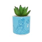 Assepoester Magic Begins Within Plant Pot Cinderella, Ophalen of Verzenden, Nieuw