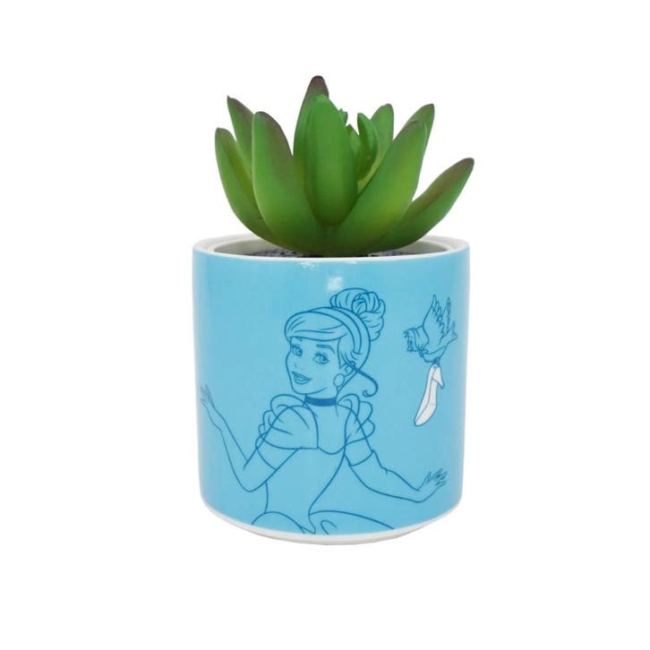 Assepoester Magic Begins Within Plant Pot Cinderella, Verzamelen, Disney, Nieuw, Ophalen of Verzenden