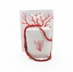 Corail - Argent - Collier - Corallo Mediterraneo