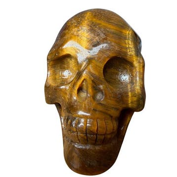 Premium tijgeroog-schedel Gravure - Hoogte: 50 mm - Breedte: