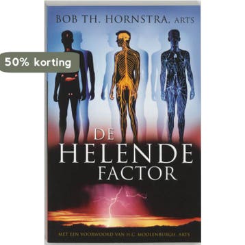 De helende factor 9789020243796 B.Th. Hornstra, Verzenden, Gelezen, B.Th. Hornstra