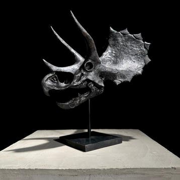 PRIX SANS RÉSERVE - Réplique d’un crâne de dinosaure