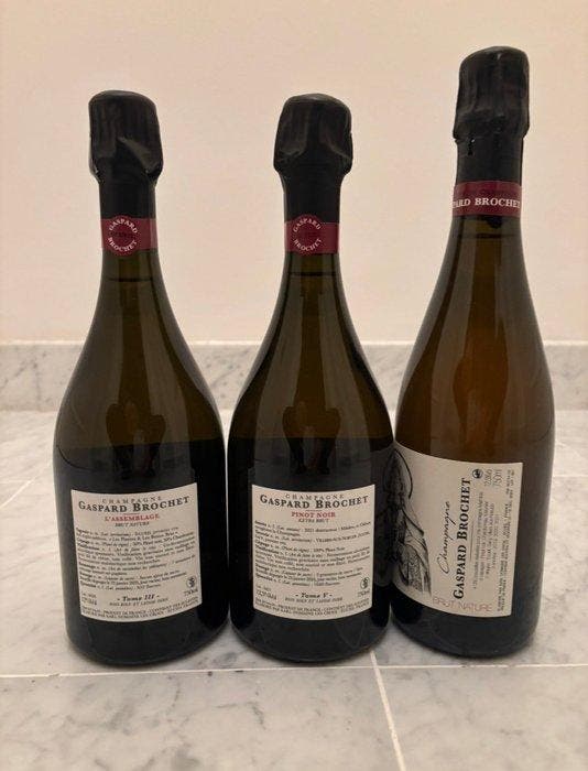 Gaspard Brochet, Tome III L’Âne PN +CH Assemblage Brut, Verzamelen, Wijnen