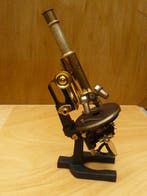 Monocular compound microscope - 1910-1920 - Carl Zeiss Jena