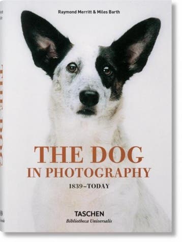 The Dog in Photography 1839 Today 9783836567473, Verzenden, Raymond Merritt