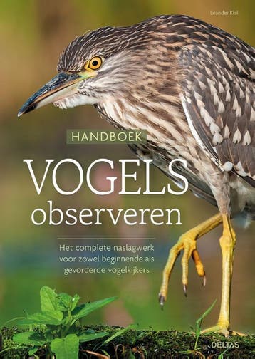 Handboek Vogels Observeren | Leander KHIL | Nieuw, Verzenden, Leander KHIL