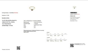 Zonder minimumprijs - Ring - 14 karaat Geel goud - 1.00ct.