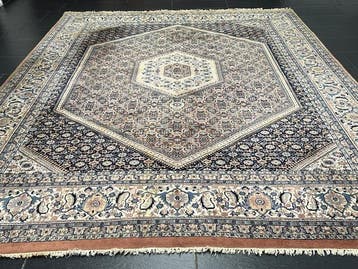 Bidjar - Tapis - 295 cm - 240 cm