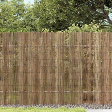 vidaXL Tuinscherm 300x100 cm riet, Tuin en Terras, Verzenden, Nieuw