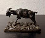 Figurine - Geit - Bronze patiné