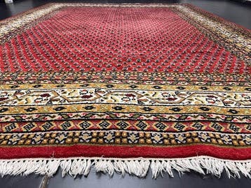 Sarough Mir - Tapijt - 345 cm - 250 cm, Nieuw