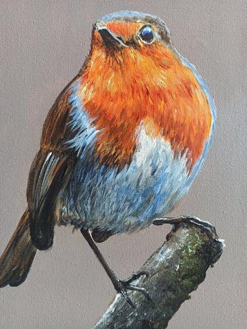 Tomasz Bednarski (1965) - Robin