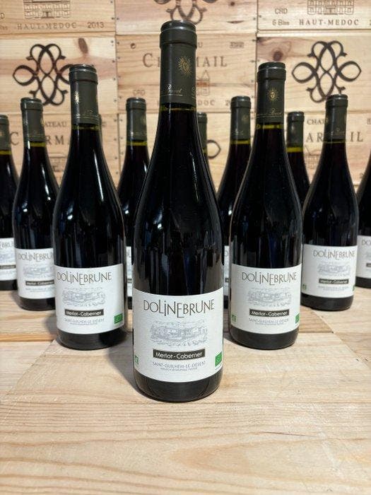 2023 Domaine la Dolinebrune - Languedoc - 12 Flessen (0.75, Verzamelen, Wijnen