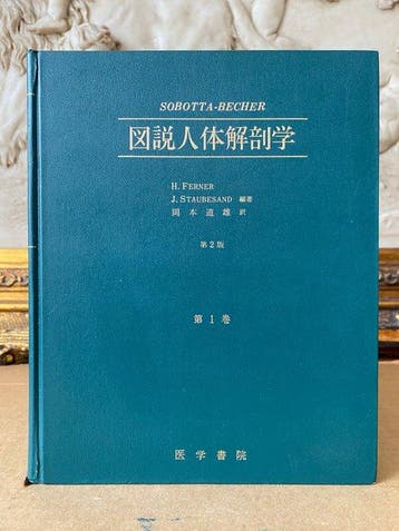 Sobotta - Becher. - Atlas der Anatomie des Menschen - 1974