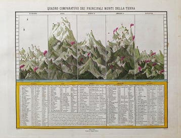 Chronological Map - Chronologische kaart van het profiel van, Boeken, Nieuw