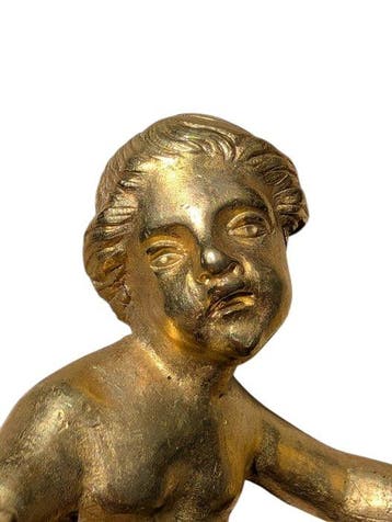 Decoratief ornament - Frankrijk