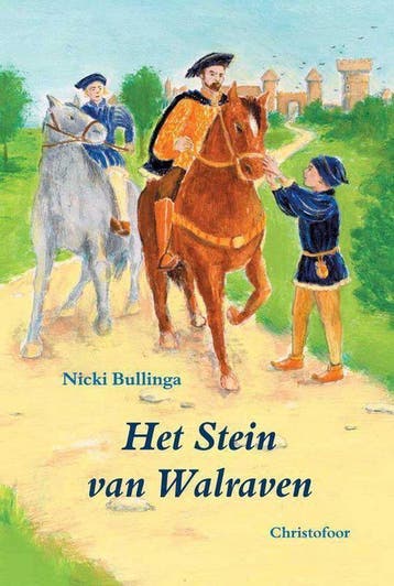 Het Stein van Walraven 9789062387625 N. Bullinga, Verzenden, N. Bullinga