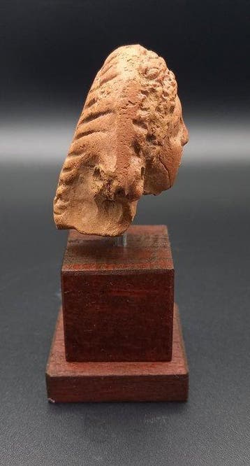 Oude Egypte, Ptolemeïsch Terracotta Hellenistisch-Egyptisch, Verzamelen