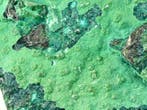 Geen RP! Chrysocolla met Heterogenite en Malachite, Collections