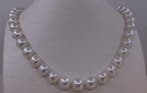 Sans prix de réserve - Collier Perles de Mer du Sud, Nieuw