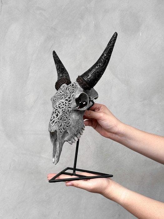 Sans prix de réserve - Crâne de chèvre gris authentique,, Antiek en Kunst, Kunst | Designobjecten