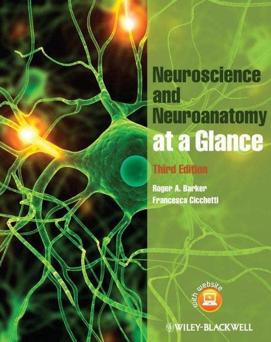 Neuroanatomy and Neuroscience at a Glance 9780470657683, Boeken, Taal | Engels, Gelezen, Verzenden