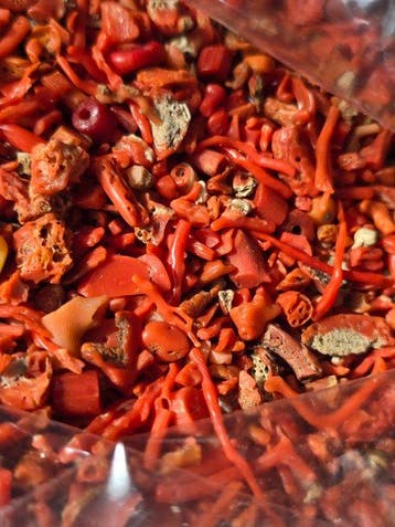Bloedkoraal Koraal -  Corallium rubrum, Verzamelen