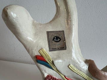 Architectonisch ornament - Vintage Anatomical Lower Jaw