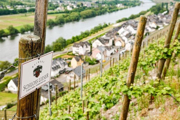 2011 Schloss Lieser, Brauneberger Juffer Riesling - Moezel, Collections, Vins