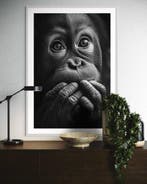 Rudy barret - Regard d’Innocence 6/6 - XL