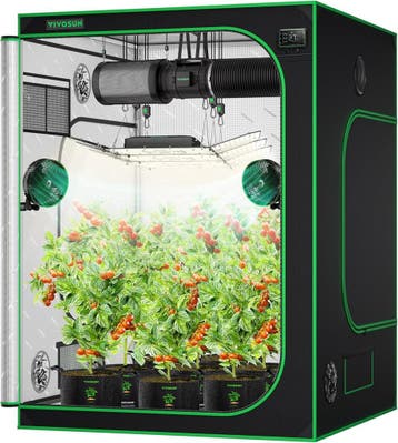 Kweektent - Growtent - 150x150x200 cm - Groen - VIVOSUN, Verzenden