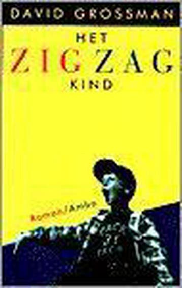 Het zigzagkind 9789026313776 David Grossman, Verzenden, Gelezen, David Grossman