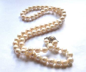 Sans prix de réserve - Collier de perles Perles Akoya