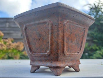 Bonsai schaal - 15x15x9,5cm - Hoogte (boom): 0 cm - Diepte