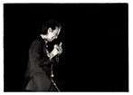 Roberto Cavalli (1971) - Nick Cave, Into My Arms / #515 - no