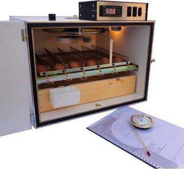 MS50 broedmachine 50 eieren semi automatisch €495, Nieuw