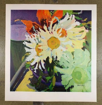 Robert Dash - Daisies - Antiquarian Collotype Print US