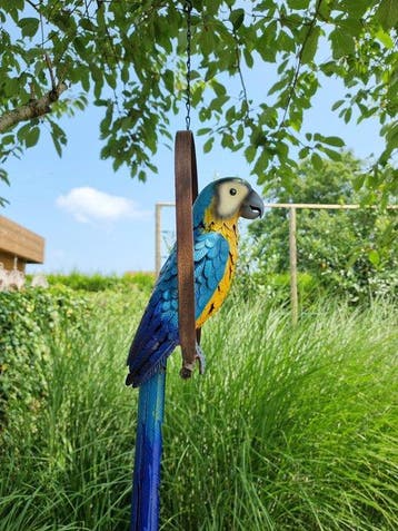 Papegaai op schommel - Beeldje - Parrot on Swing - Metaal