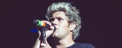 Niall Horan Tickets, Tickets en Kaartjes, Overige Tickets en Kaartjes