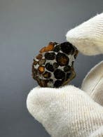 Sericho meteoriet Pallasiet - 12 g - (1)