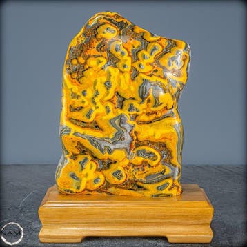 Zeer zeldzame natuurlijke Bumblebee Jasper Freeform op