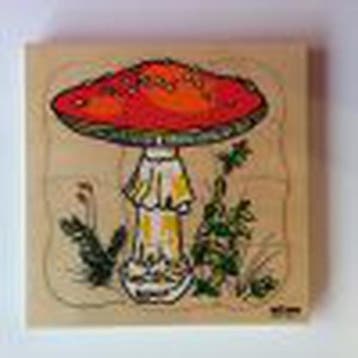 Educo Groeipuzzel Paddenstoel (4-lagen), Verzenden
