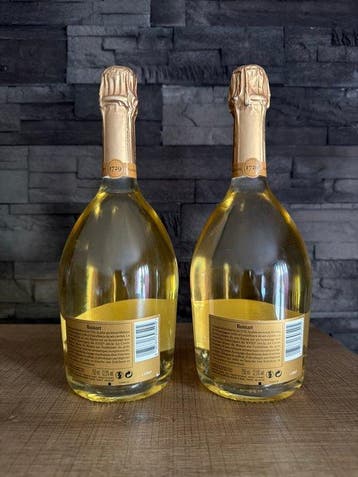 Ruinart - Champagne Blanc de Blancs, Brut - 2 Bouteilles, Verzamelen, Nieuw