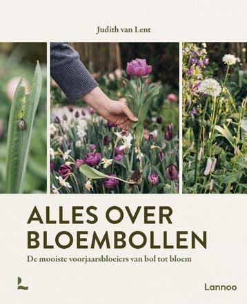 Alles Over Bloembollen | Judith Lent | Nieuw, Verzenden, Nieuw, Judith Lent