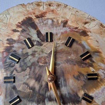 Fossiel hout - Gefossiliseerd hout - 20 cm - 22 cm (Zonder