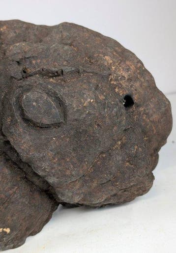 Groot masque de champignons - Népal (Sans prix de réserve)