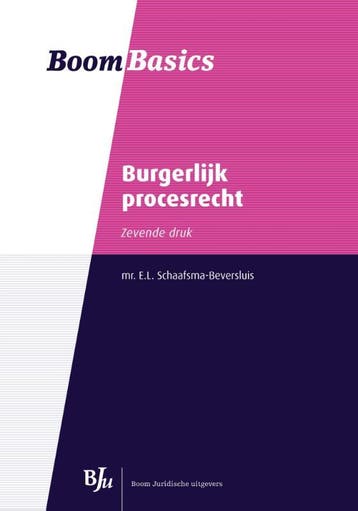 Burgerlijk procesrecht / Boom Basics 9789089749314, Verzenden, Gelezen, E.L. Schaafsma-Beversluis
