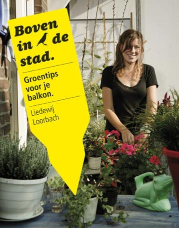Boven in de stad 9789021547572 Liedewij Loorbach, Verzenden, Liedewij Loorbach